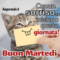 immagini buongiorno