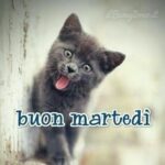 Immagini Buongiorno Martedì 1 Ottobre